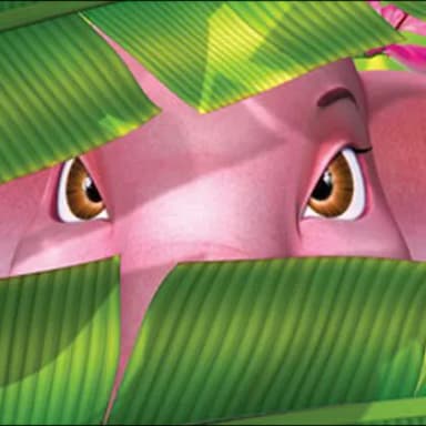 ชบาแก้ว